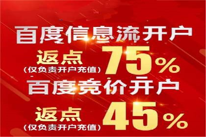 百度SEO推广公司案例精选：助力企业快速崛起