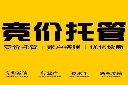 百度竞价赚钱技巧：实战案例分析